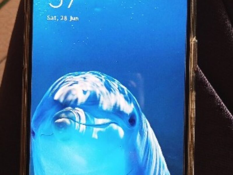 Sell old phone. જુનો મોબાઈલ વેચવાનો છે.